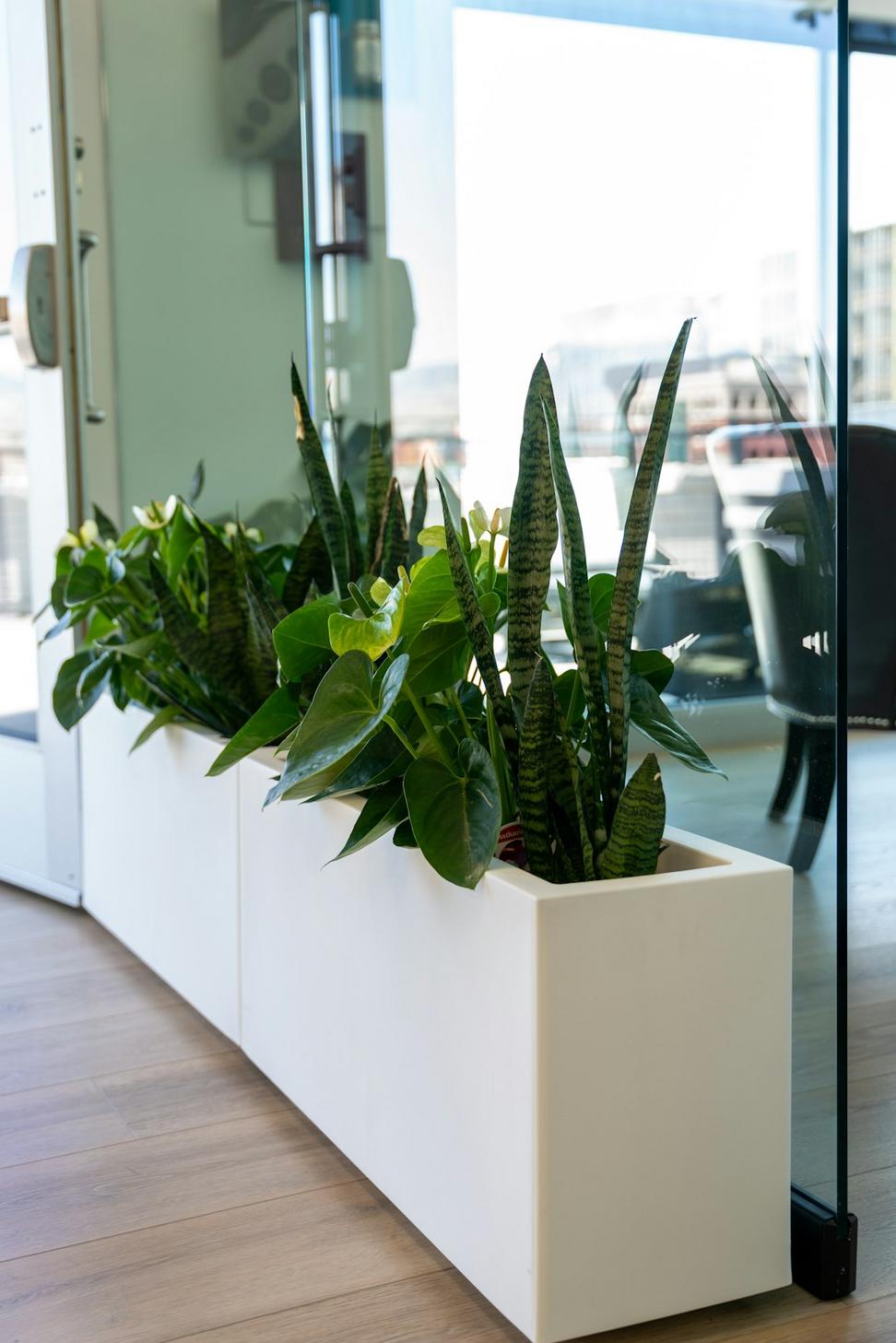 Yaletown Tech Campus