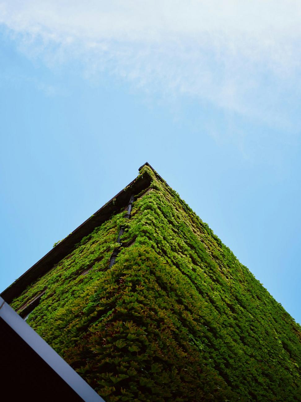 Olympic Village Green Building