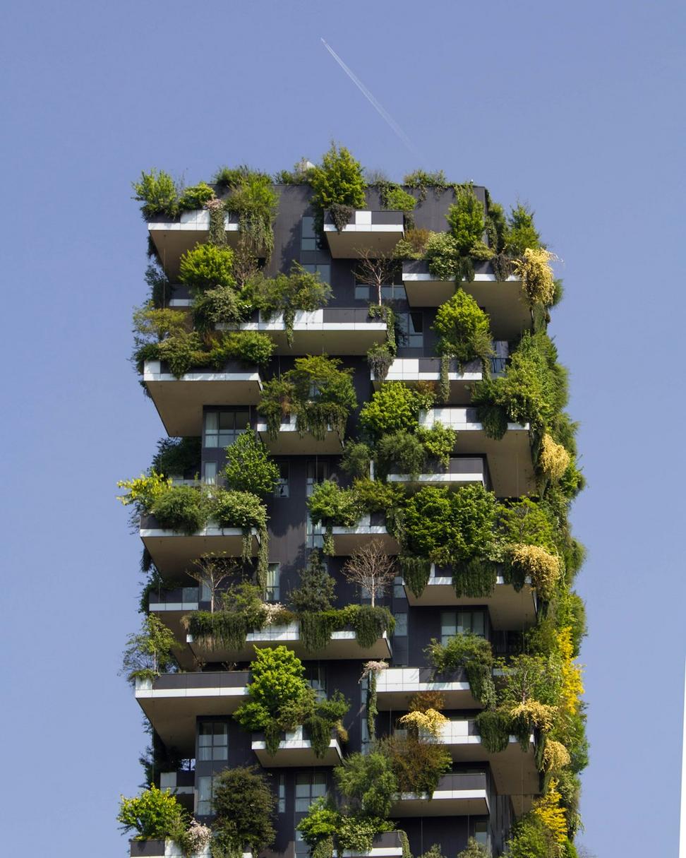 Bowen Island Eco-Home